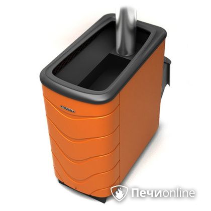 Дровяная банная печь TMF Тунгуска XXL 2013 Inox ДА терракота в Астане